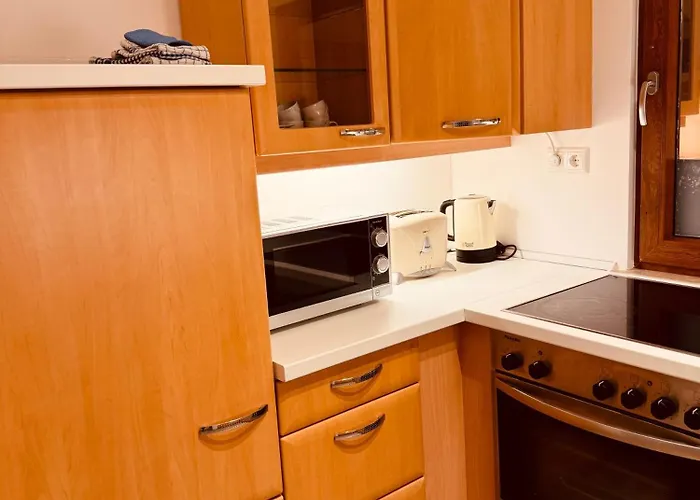Appartement Felix Living 10, Monteurwohnung, 3 Zimmer, Getrennte Betten, Parkplatz Salzweg
